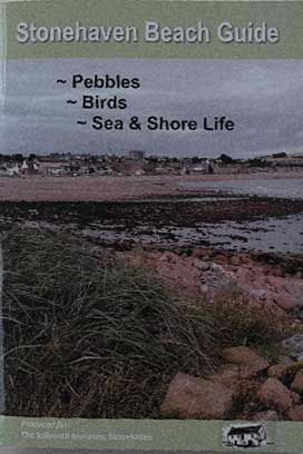 Stonehaven Beach Guide